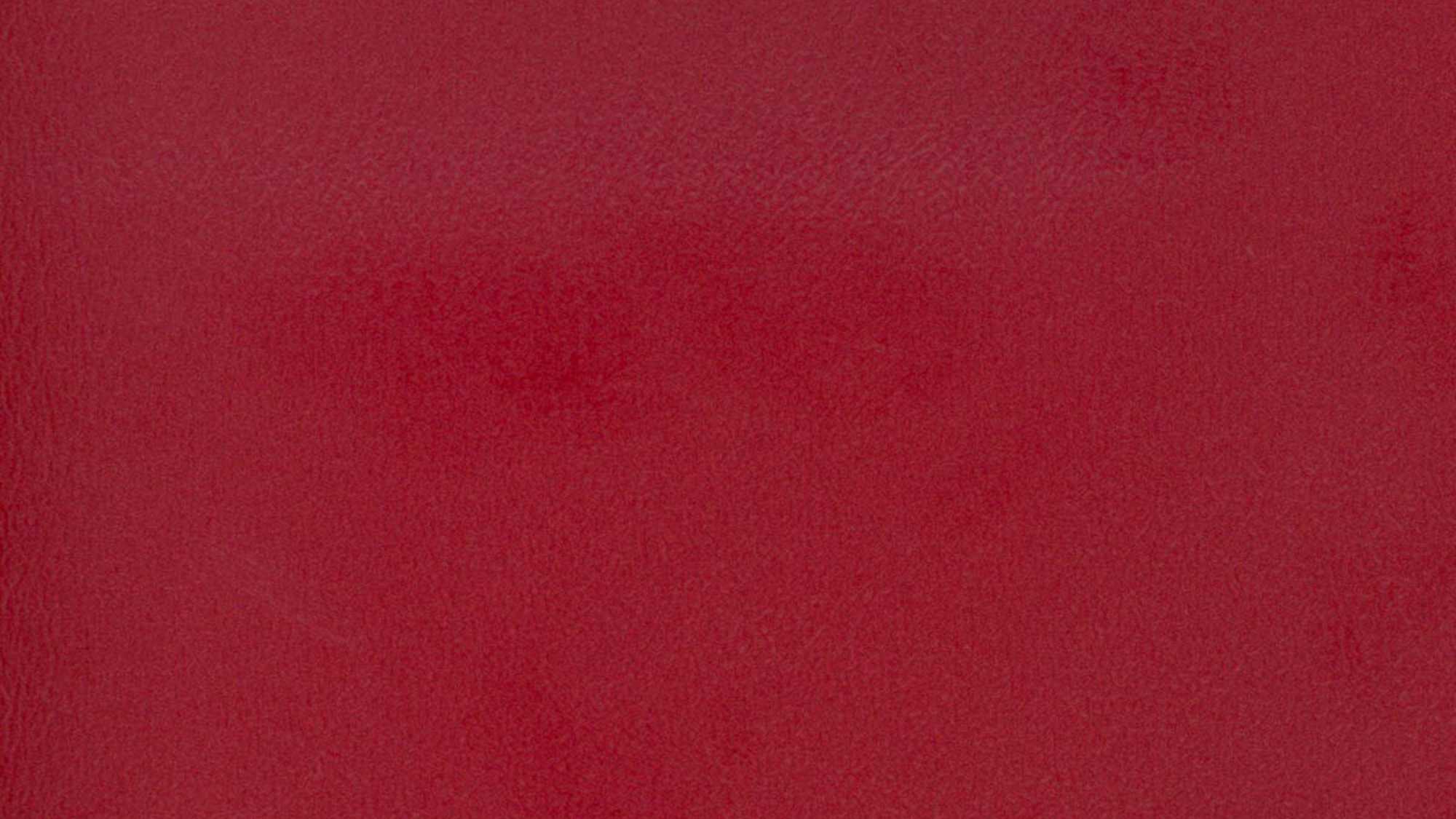 Patriot 8165 Berry